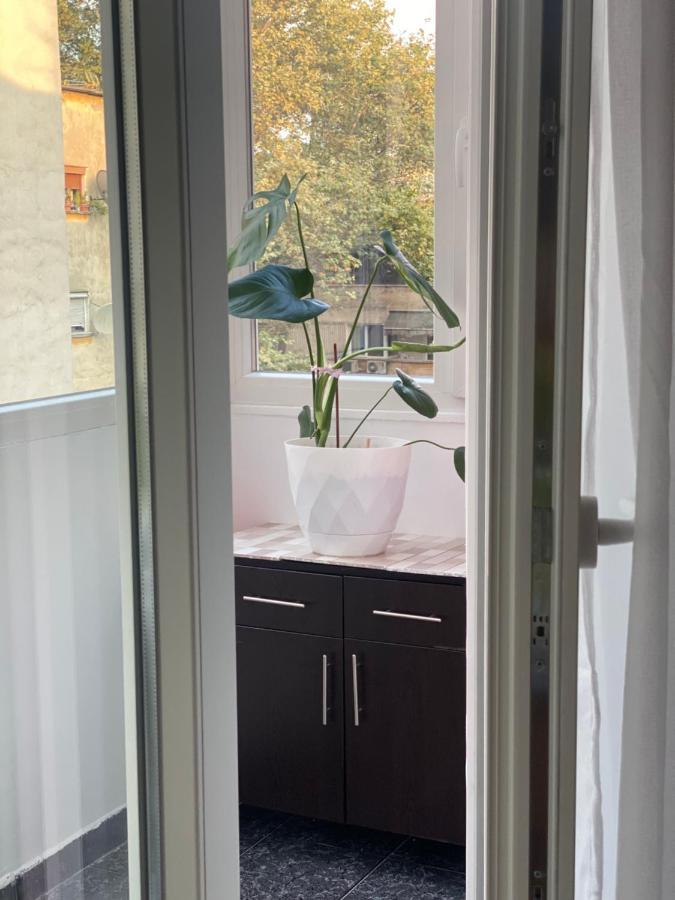 Central Welcoming Apartment In Tirana Extérieur photo