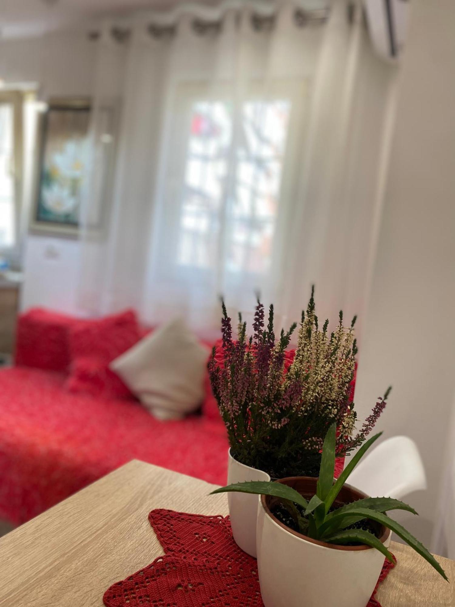 Central Welcoming Apartment In Tirana Extérieur photo
